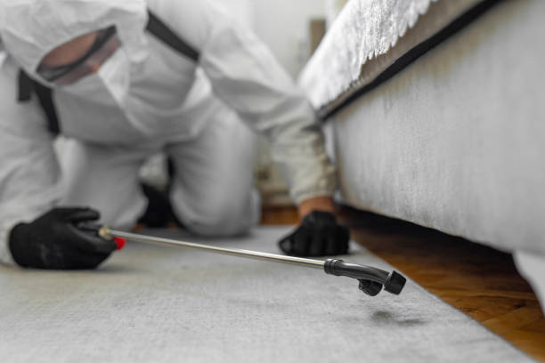 Professional Bed Bug Control technician working in Las Vegas, NM