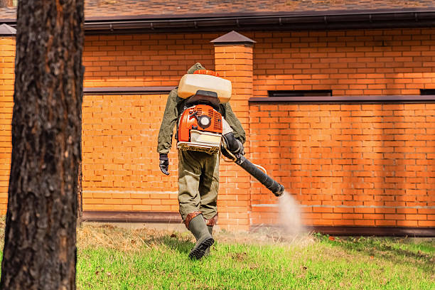 Trusted Bed Bug Control service in Las Vegas, NM - Nex Pest Control